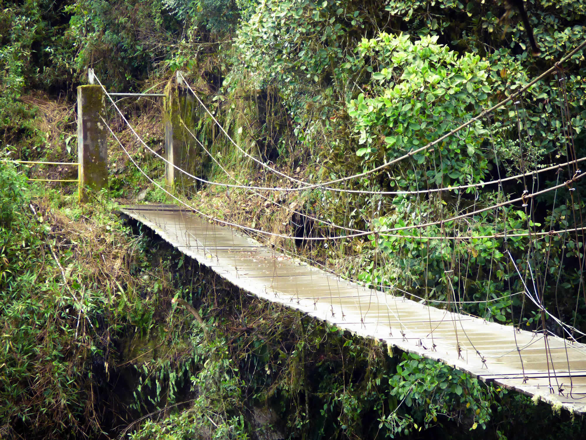 Suspension bridge in the cloud forest of Incachaca